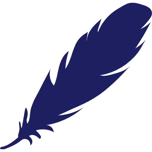 Airplane Icon